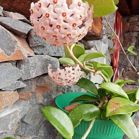 Casa Belojardim Semesterbostad