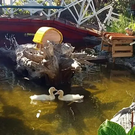 Antiga Fabrica Da Manteiga By An Island Apart *