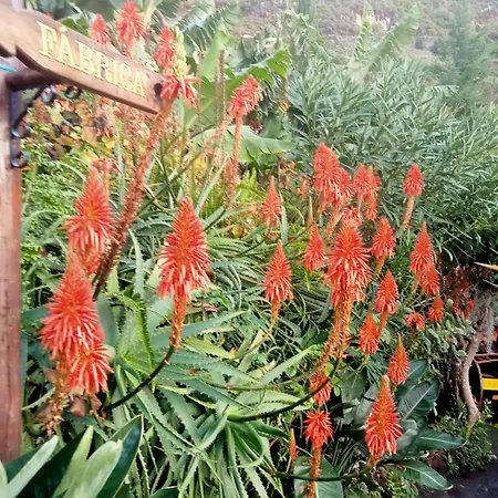Casa Belojardim Arco da Calheta (Madeira)